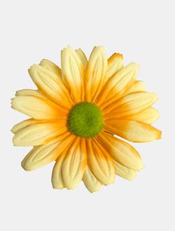 FLOWER HEADS