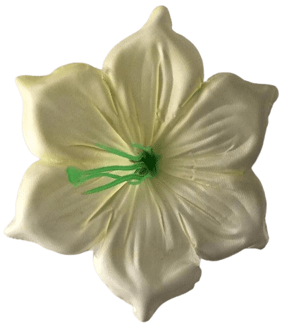 Kwiatowe główki Prasa nr 8