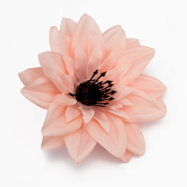 Główki krokusów 05