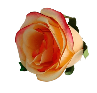 Kwiaty do dekoracji Róża