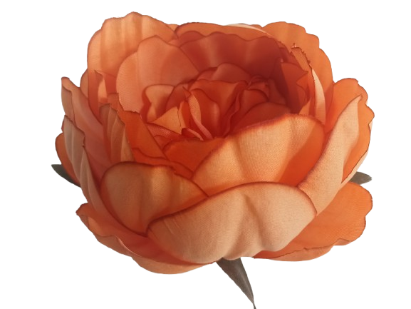 Flowers for decoration Peony
