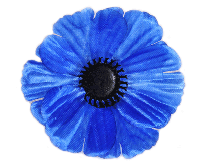 Kwiatostany chabra bławatka