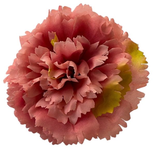 Kwiatostany goździków 04