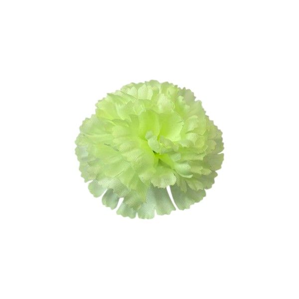 Kwiatostany goździków