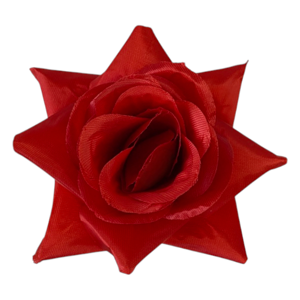 Kwiatostany Róża R7