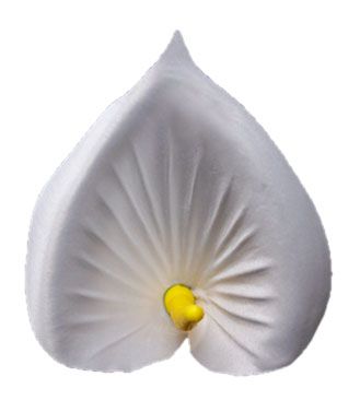 Główki kwiatowe Cala Elite