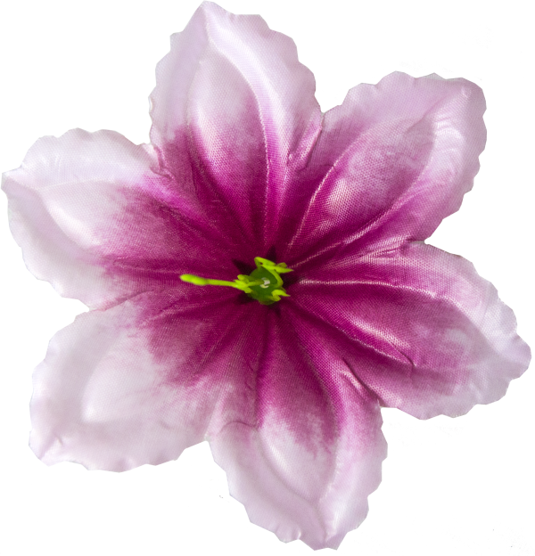 Kwiatowe główki Prasa nr 4