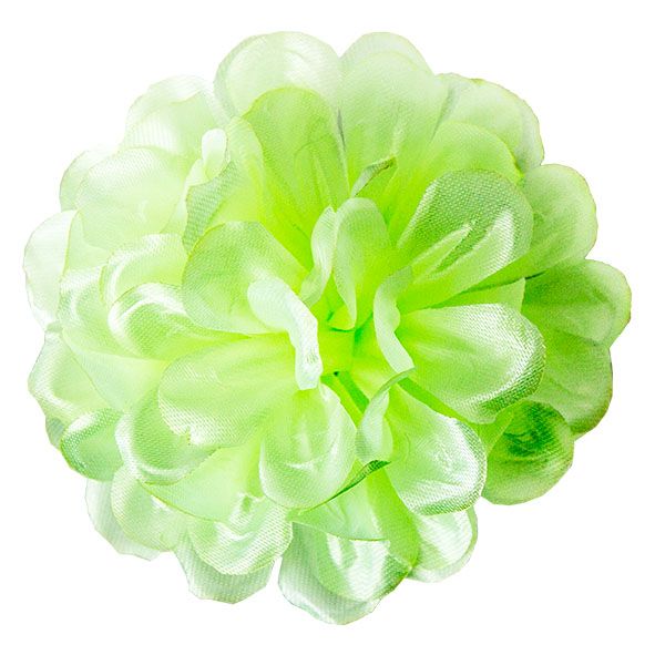 Kwiatostany chryzantemy