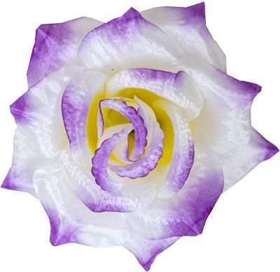 Kwiatostany Róża R3