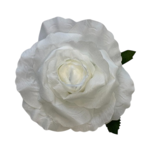 Kwiatostany róży herbacianej