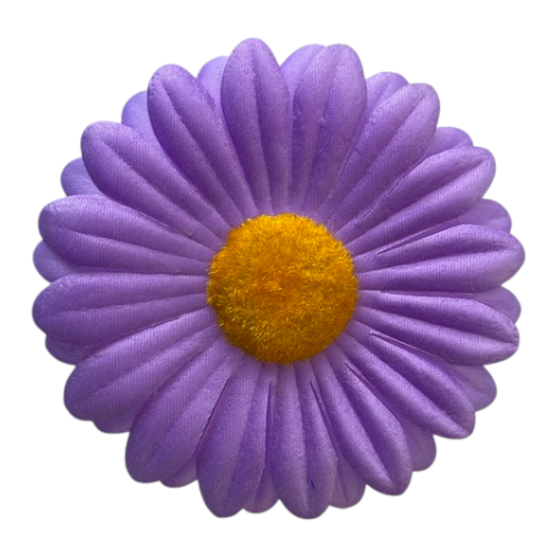 Główki kwiatów gerbery Nova Silk