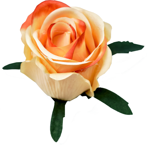 Główki róż, pąki B2