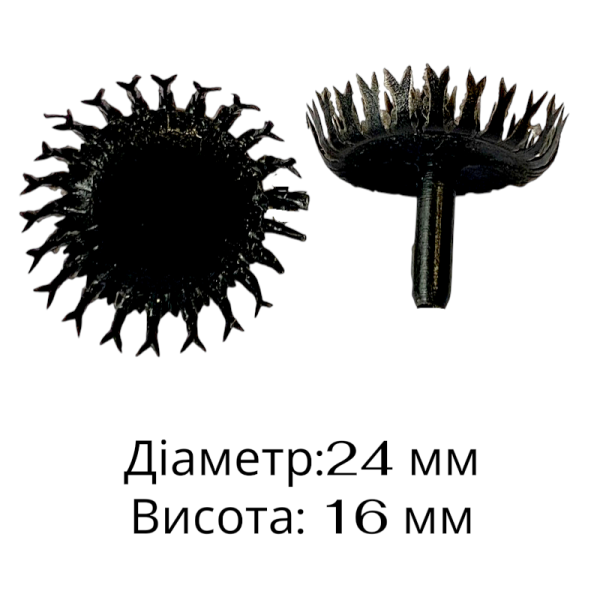 Chaber środkowy 040