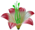 К116
