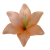 К111