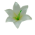 К165