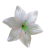 К180