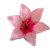 К191