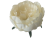 K120
