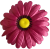 K142