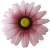 К188