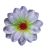 K101