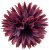 К142