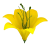 К162