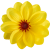 K162