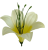 К165