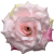 К187