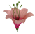 К191