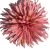 К191