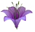 К230