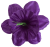 К232