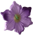 К238