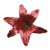 K142