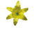 K162