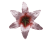 K188