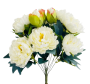 Bukiet kremowo-zielonych róż piwoniowych