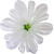 К 100