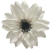 К 100