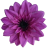 К 246