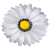 К 100