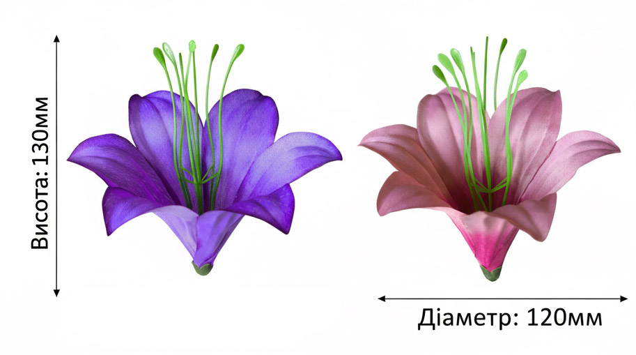 Rozszerzone główki Lilii 004
