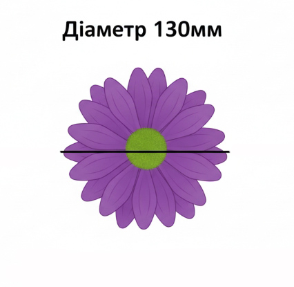 Розмір голівки квітки