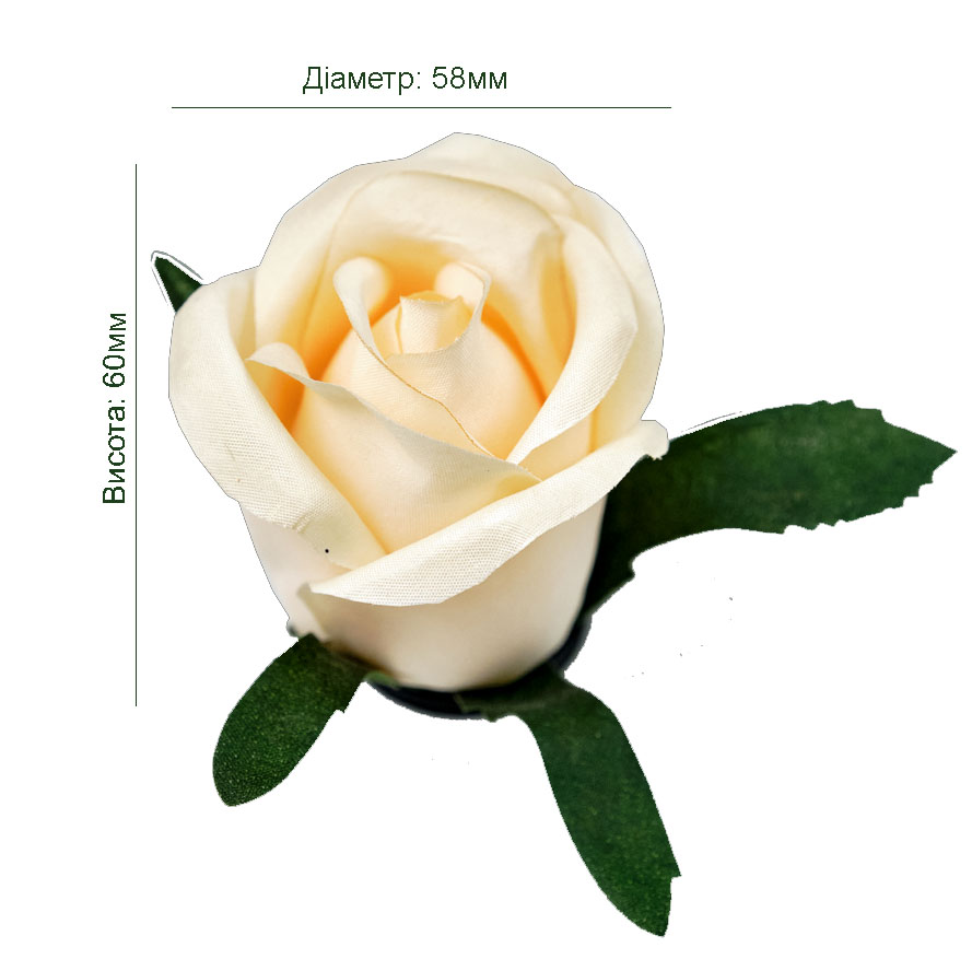 Główka kwiatu róża