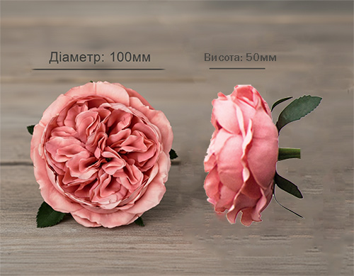 Rozmiary pąków róż